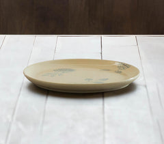 Ceramic Dinner Plate Ceramic Dinner Plate