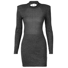 Elegant Backless Round Neck Long Sleeve Body-con Dress