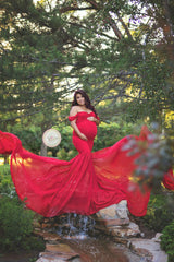 Long Sleeve Maternity Dress