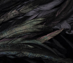 Sparkling Feather Embellished Sequin Dress