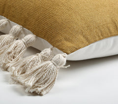 Tasseled Tan Cushion cover