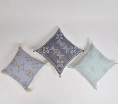 Powder Blue Embroidered Cushion cover