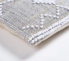 Ivory Accents Cushion cover