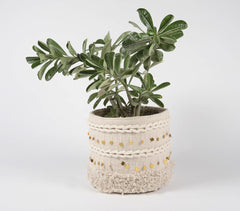 Braided Jute & Handwoven Cotton Basket