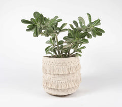 Tasseled & Textured Cotton & Jute Basket