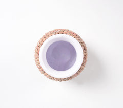 Coastal Pink Seashell Flower Vase