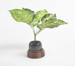 Ribbed Wooden & Black Terracotta Desk Planter