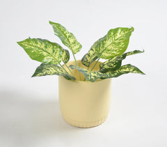Hand Poured Concrete Yellow Planter