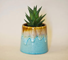 Clay Aqua Mini Planter