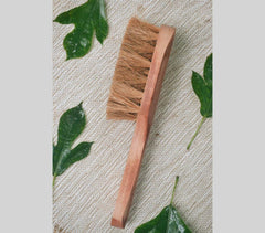 Coconut Fiber Body Brush.
