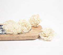 Ivory Carnations eco-friendly shola wood flowers (set of 6)