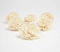 Ivory Carnations eco-friendly shola wood flowers (set of 6)