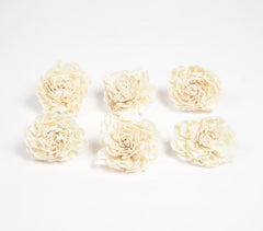 Ivory Carnations eco-friendly shola wood flowers (set of 6)