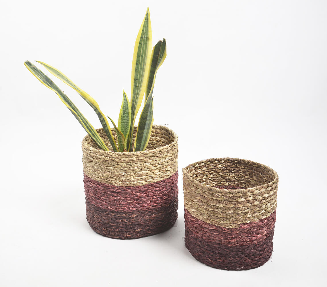 Earthy Sabai Grass Handwoven Planters (Set  of 2)