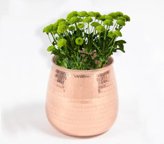 Hand Beaten Copper Viola Vase