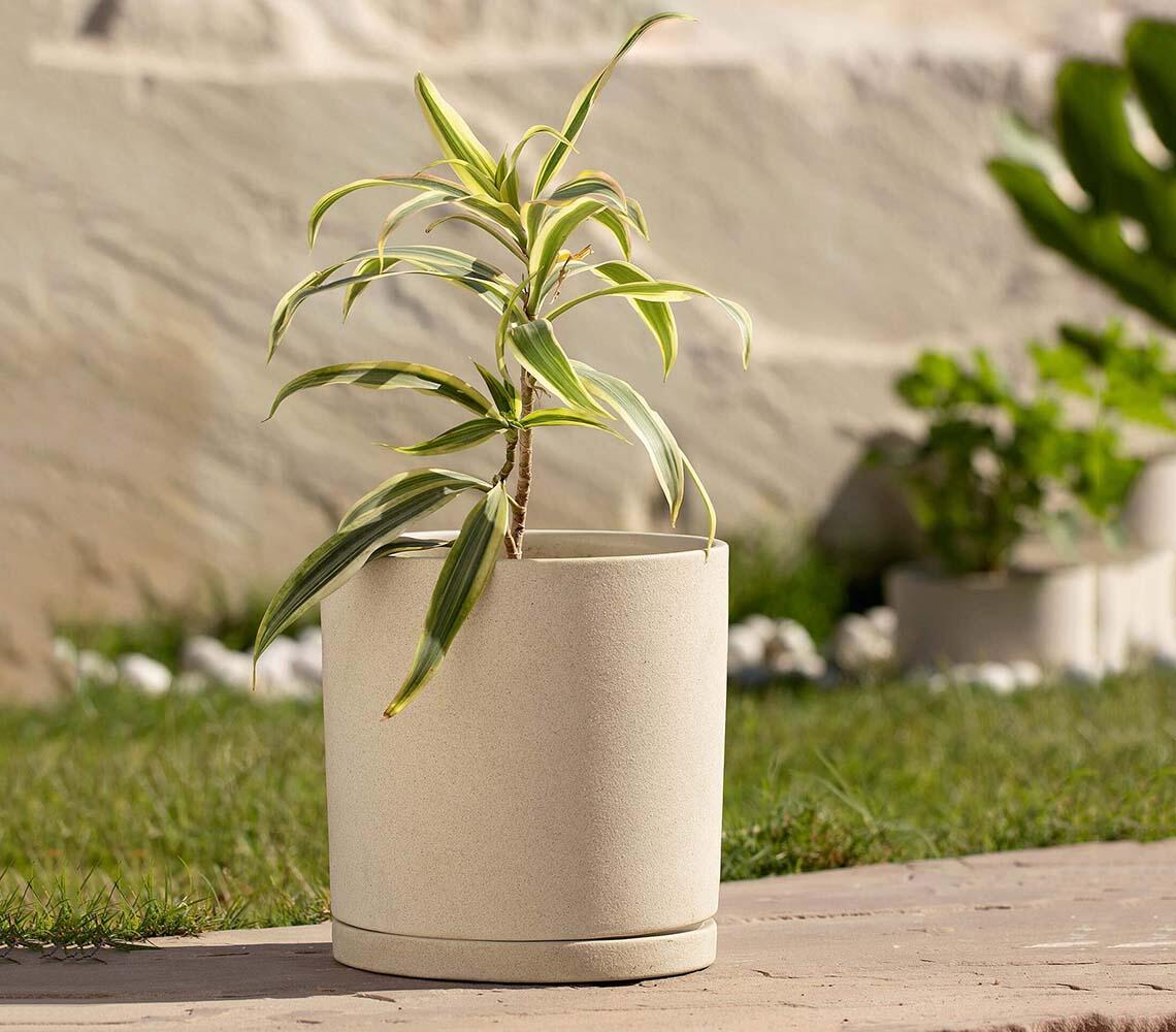 Ceramic Tall Ort Planter