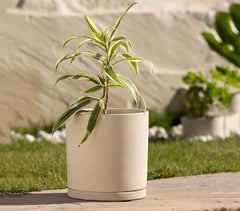 Ceramic Tall Ort Planter
