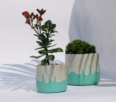 Playful Teal Concrete Planters (Set of 2)