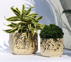 Terrazzo Concrete Hexagon Planters (Set of 2)