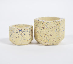 Terrazzo Concrete Hexagon Planters (Set of 2)