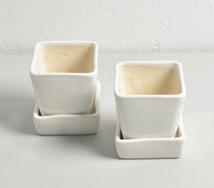 Ivory Ceramic Mini Flower pots (set of 2)