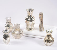 Assorted Silver-Toned Mercury Glass Vases (set of 6)