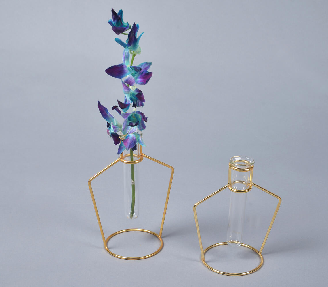 Bottle-Shaped Metal & Glass test tube Planter Vases (set of 2)