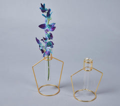Bottle-Shaped Metal & Glass test tube Planter Vases (set of 2)