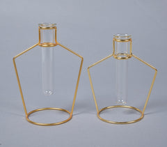 Bottle-Shaped Metal & Glass test tube Planter Vases (set of 2)