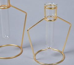 Bottle-Shaped Metal & Glass test tube Planter Vases (set of 2)