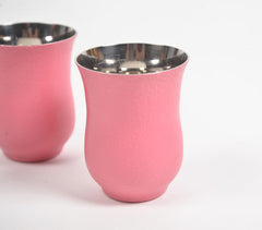 Textured Stainless Steel Pink Glasses (Set of 2)