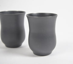 Matte Black Stainless Steel Glasses (Set of 2)