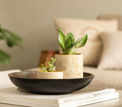 Wood Turned Shallow Tranquil Multipurpose Bowl