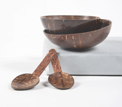 Eco-friendly Coconut Shell Bowls & Spoons (Set of 2)