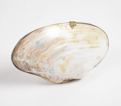 Statement Handcrafted Seashell Jewelry Box