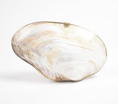 Statement Handcrafted Seashell Jewelry Box