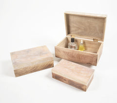 Resin & Wood Jewelry Storage boxes (Set of 3)