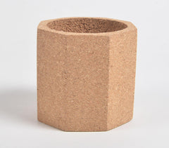 Minimal Hexagonal Prism Cork Pen Holder