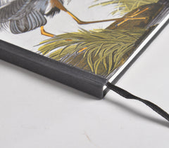 Hand Painted Noir Bird Diary