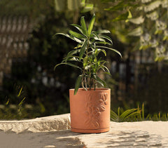 Terracotta Tall Teravak Embossed Planter